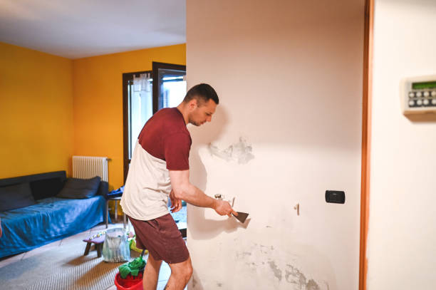 Best Mold Damage Repair  in Fort Valley, AZ